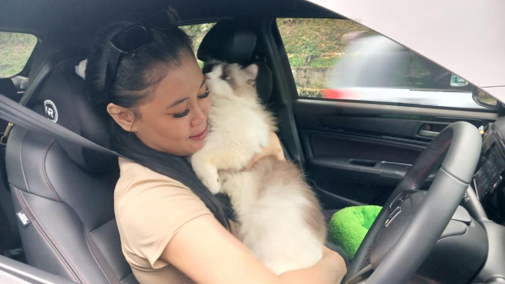 Mudik Bersama Kucing Kesayangan, Si Cantik Nafis Pilih Pulang Lebih Awal untuk Hindari Macet