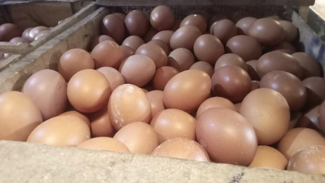 Ini Penyebab Harga Telur di Pasar Singaparna Tasikmalaya Merosot Tajam
