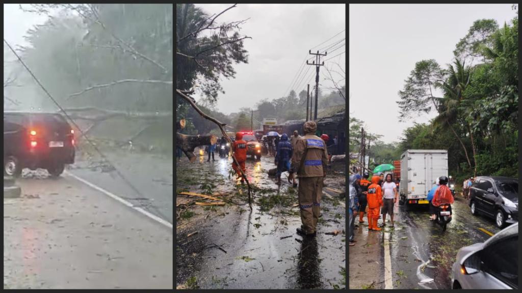 Pohon Tumbang di Cipaku Picu Kemacetan di Jalur Ciamis-Kawali