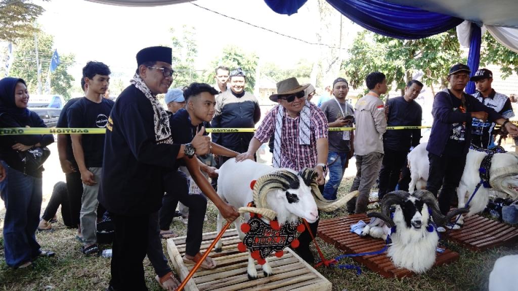Garut Gencarkan Potensi Ekonomi dan Wisata Lewat Pesta Patok Domba 2025