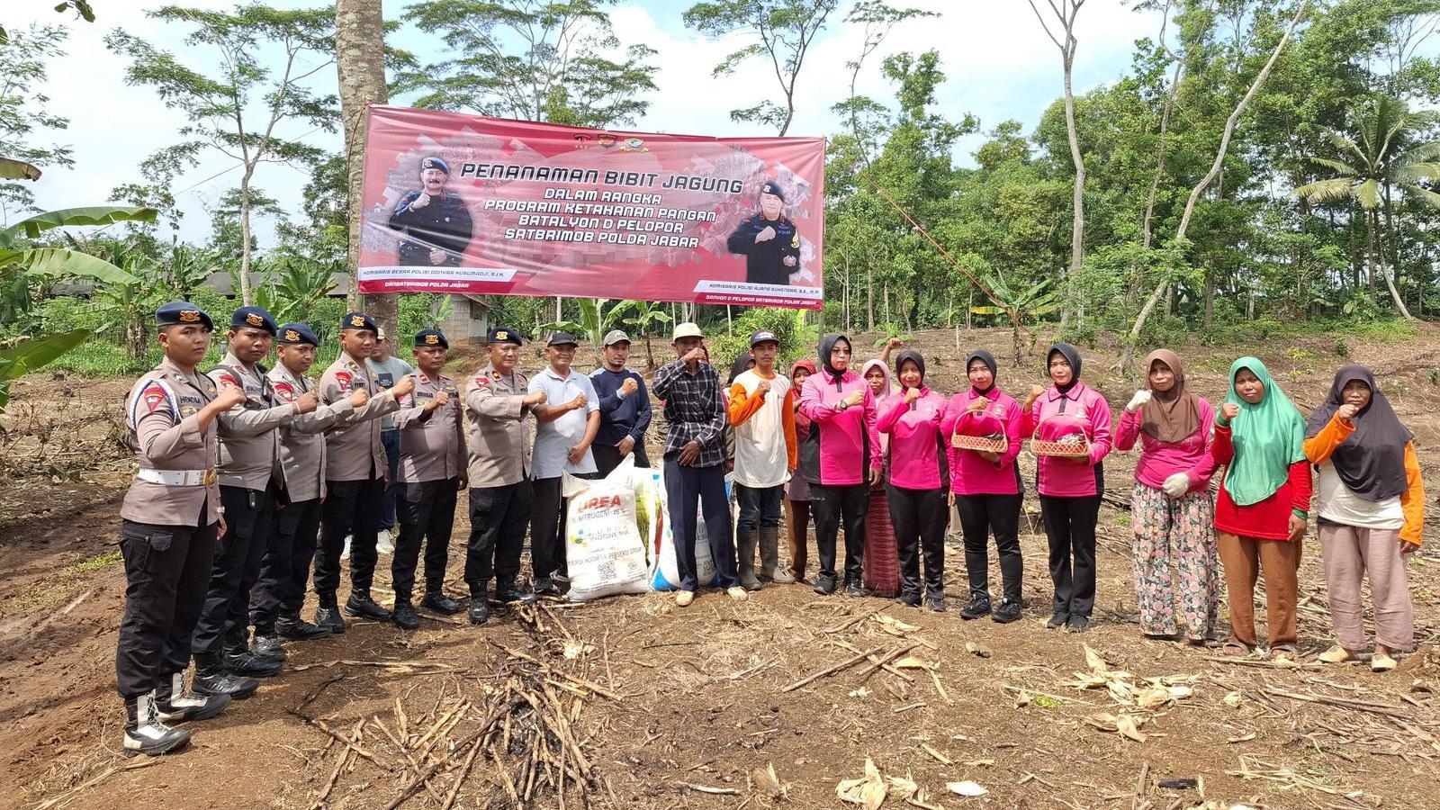 Batalyon D Pelopor Satbrimob Polda Jabar bersama Kelompok Tani Duha Tanam Jagung dan Salurkan Bantuan Pupuk di Karangnunggal
