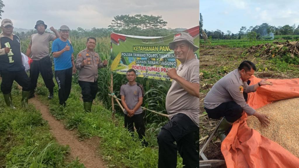 Polsek Tawang Dukung Program Ketahanan Pangan, Dampingi Petani Jagung di Kawalu