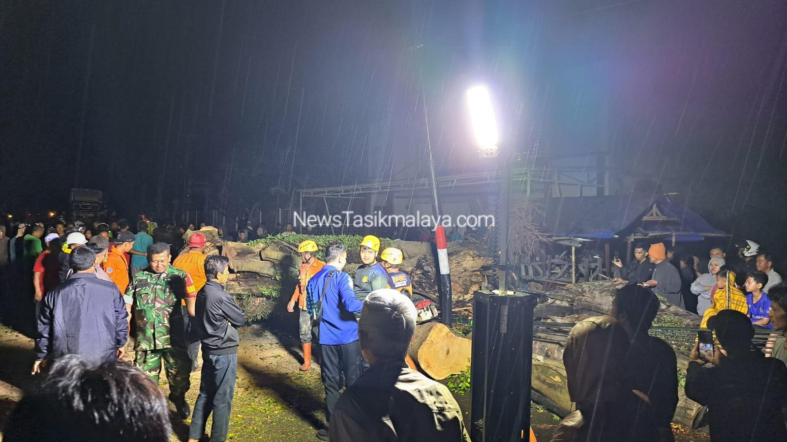 Pernah Renggut Nyawa Anggota Brimob, Pohon Beringin Jalan Nasional Cisayong–Rajapolah Kembali Tumbang di Lokasi yang Sama