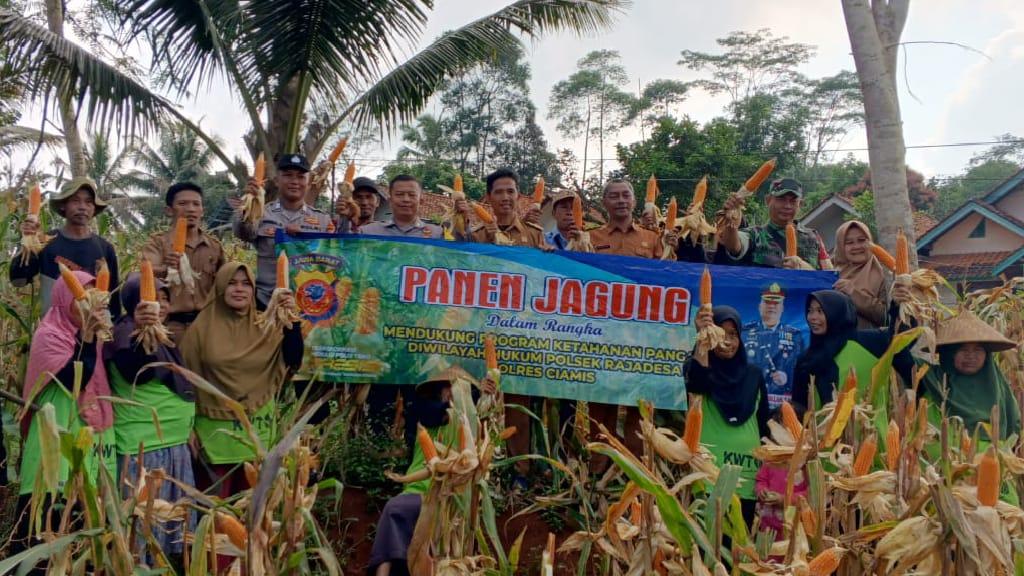 Dukung Program Swasembada Pangan Presiden Prabowo, Polres Ciamis Panen Jagung 6,9 Ton di Rajadesa