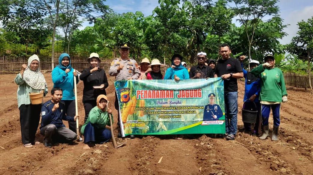 Dukung Ketahanan Pangan Nasional, Polsek Cisaga Ciamis Tanam Jagung Bareng Petani