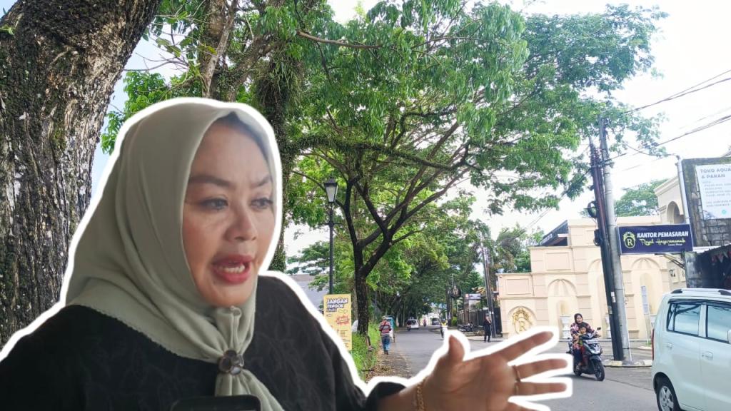 Antisipasi Pohon Tumbang, Komisi III DPRD Kota Tasikmalaya Minta Pohon Tua di Jalan Elang Subandar Ditertibkan
