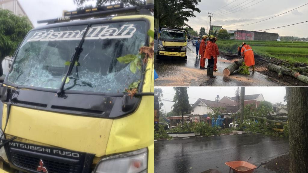 Pohon Tumbang Timpa Truk di Jalan Brigjen Wasita Kusumah Indihiang Akibat Hujan Disertai Angin