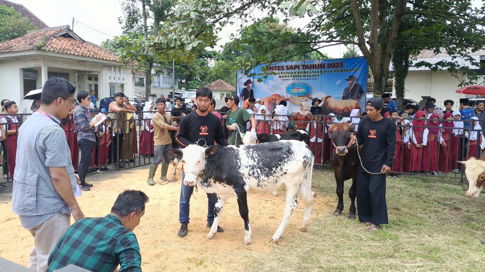 DKP3 Kota Tasikmalaya Gelar Kontes dan Bursa Sapi Potong, Diky Candra: Harus Jadi Agenda Rutin