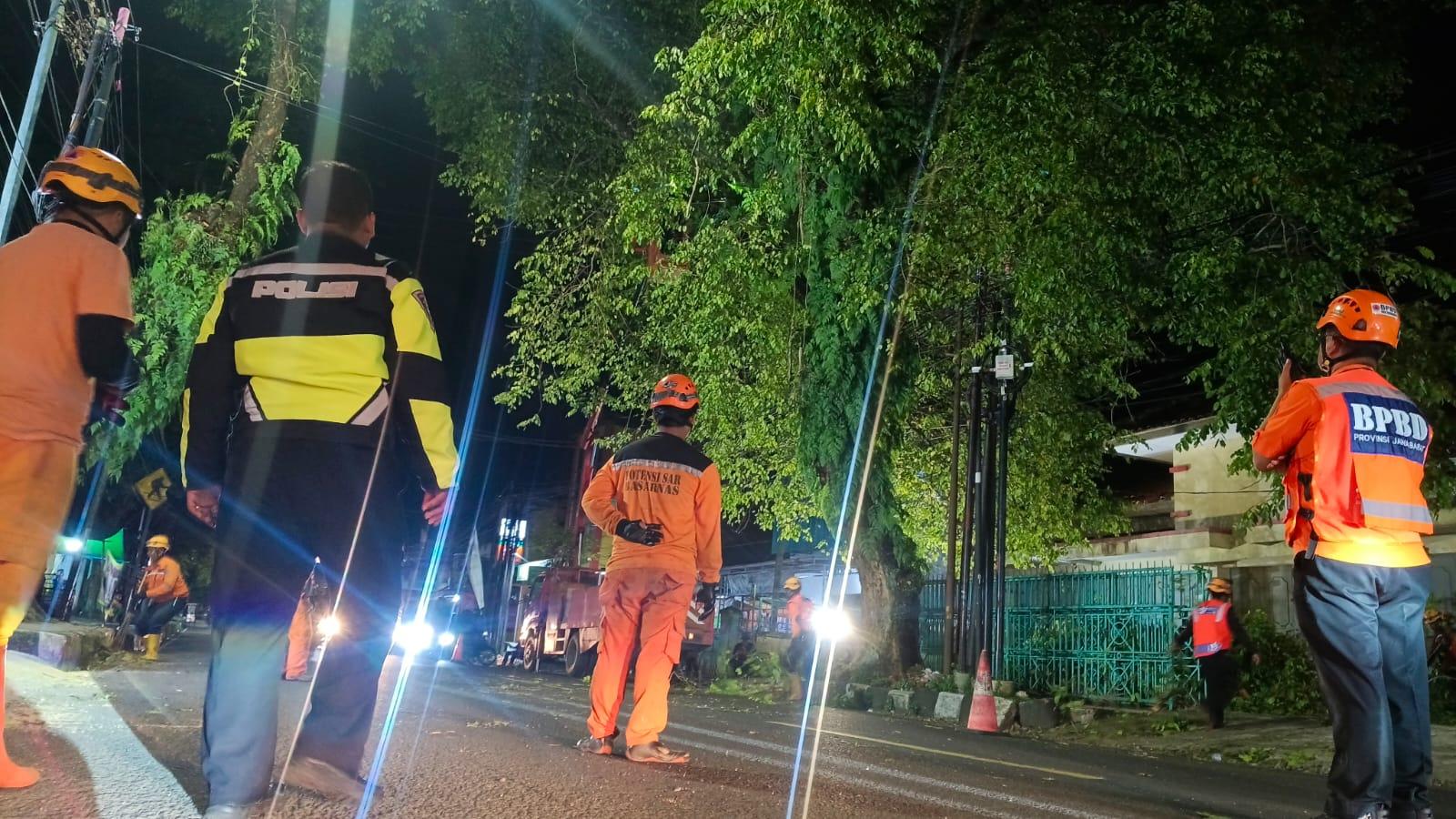Petugas Gabungan di Kota Tasikmalaya Lakukan Pemangkasan Pohon Rawan Tumbang di Jalan R.E Martadinata