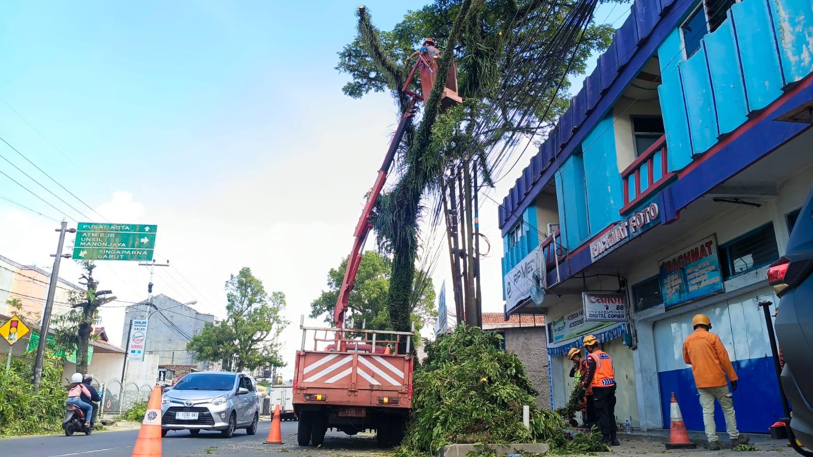 Antisipasi Cuaca Ekstrem, BPBD Kota Tasikmalaya Pangkas Pohon Rawan Tumbang di Jalur Padayungan-Kawalu