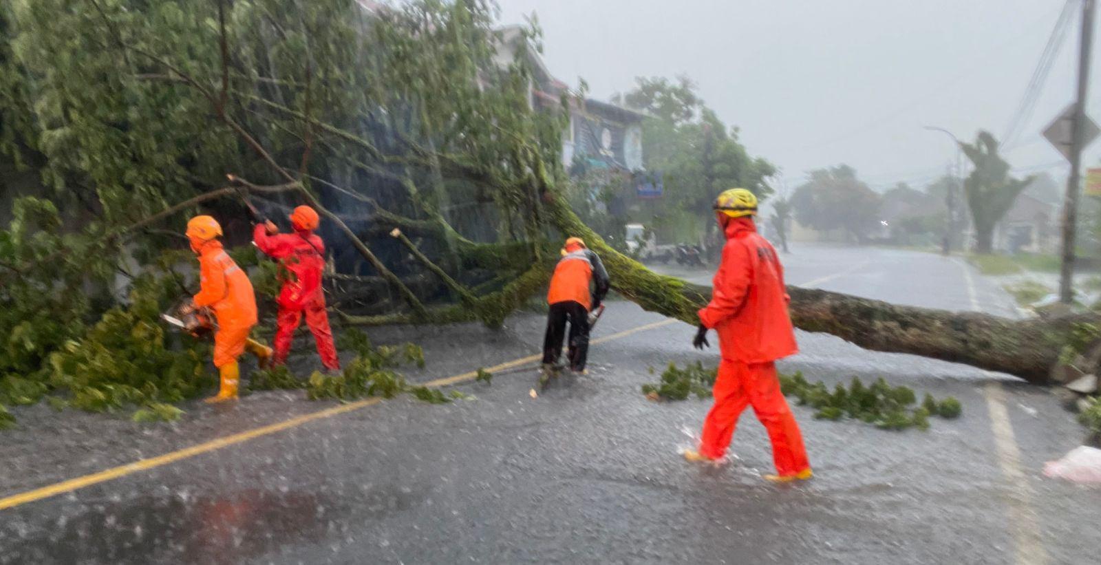 Cuaca Ekstrem di Tasikmalaya: Pohon Tumbang Tutup Akses Jalan Indihiang
