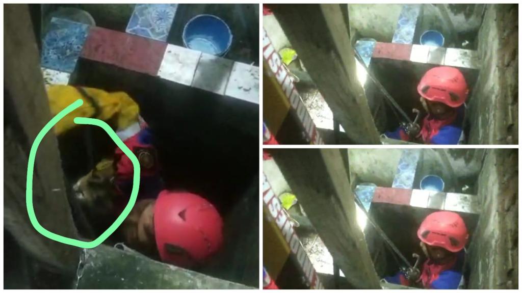 Evakuasi Dramatis! Damkar Kota Tasikmalaya Selamatkan Kucing Terjebak di Sumur Sedalam 7 Meter