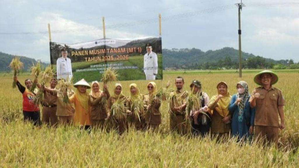 DKP3 Banjar Panen Perdana Musim Tanam I, Targetkan Benih Padi Unggul untuk Petani