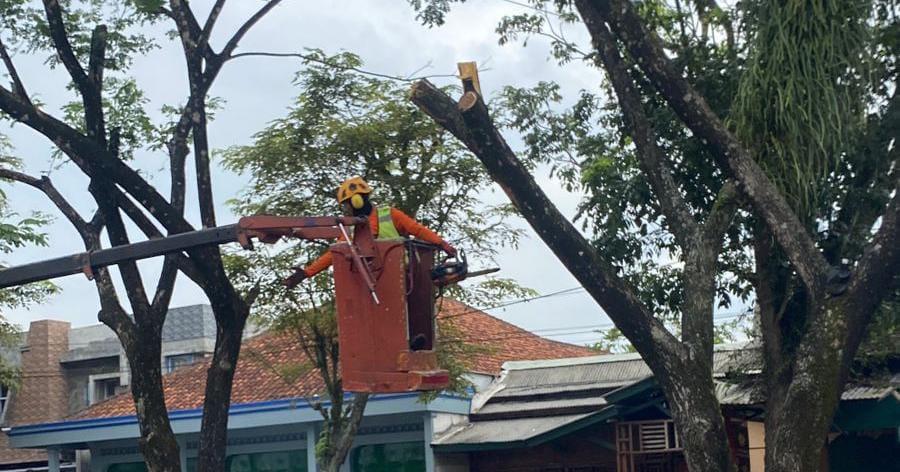 BPBD Kota Tasikmalaya Pangkas Puluhan Pohon di Jalan Letjen Mashudi untuk Mitigasi Bencana