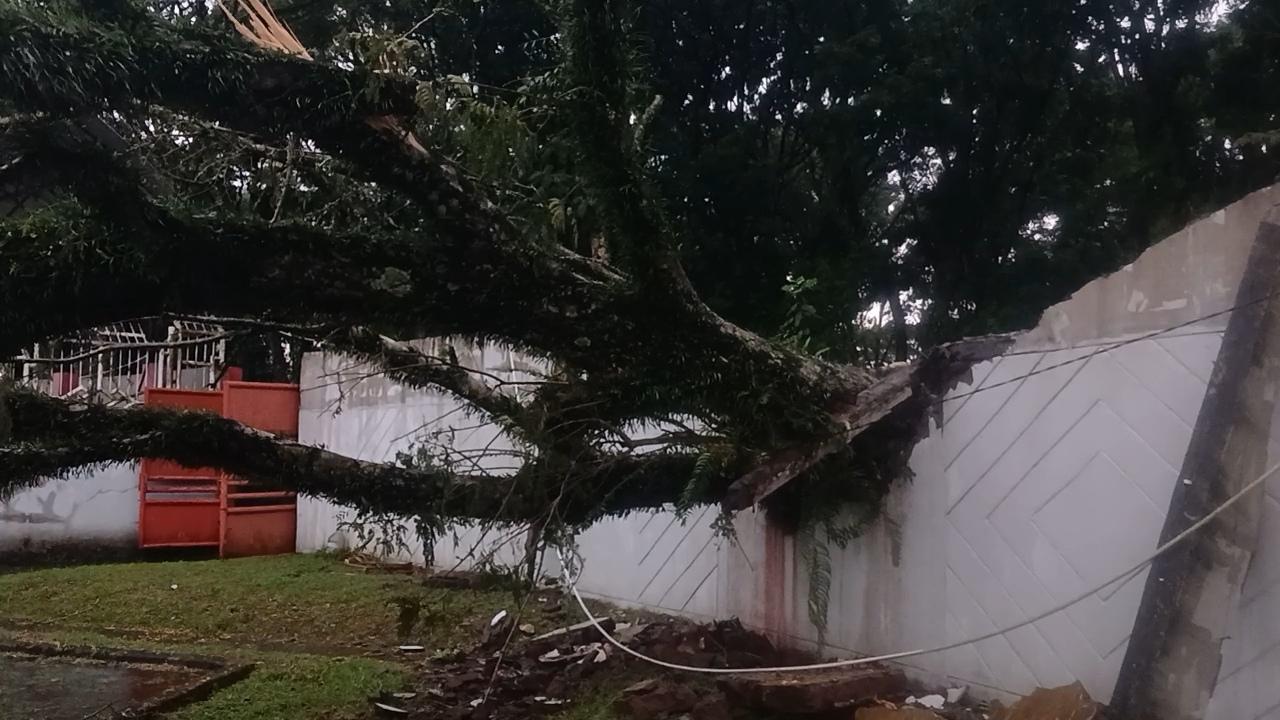 Pohon Besar Tumbang di Kompleks Dadaha, Tembok Stadion Wiradadaha Ambruk