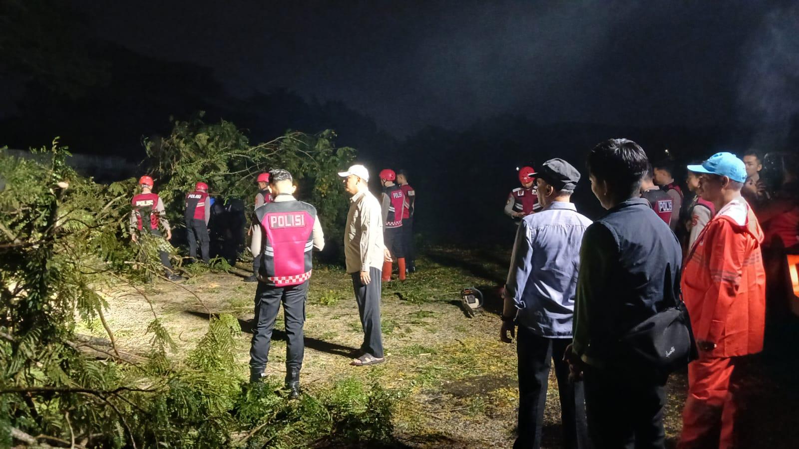 Sekda Kota Tasikmalaya Tinjau Lokasi Pohon Tumbang, 16 Kejadian Akibat Cuaca Ekstrem