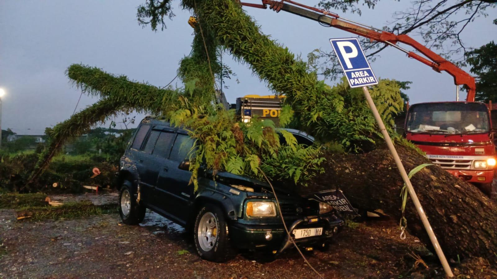 Dua Mobil Konsumen Ringsek Tertimpa Pohon, Manajer Kafe di Tasikmalaya: Kami Sudah Beri Peringatan Lewat Speaker