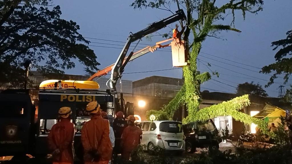 BPBD Kota Tasikmalaya Catat 24 Titik Bencana Akibat Cuaca Ekstrem, 16 di Antaranya Pohon Tumbang