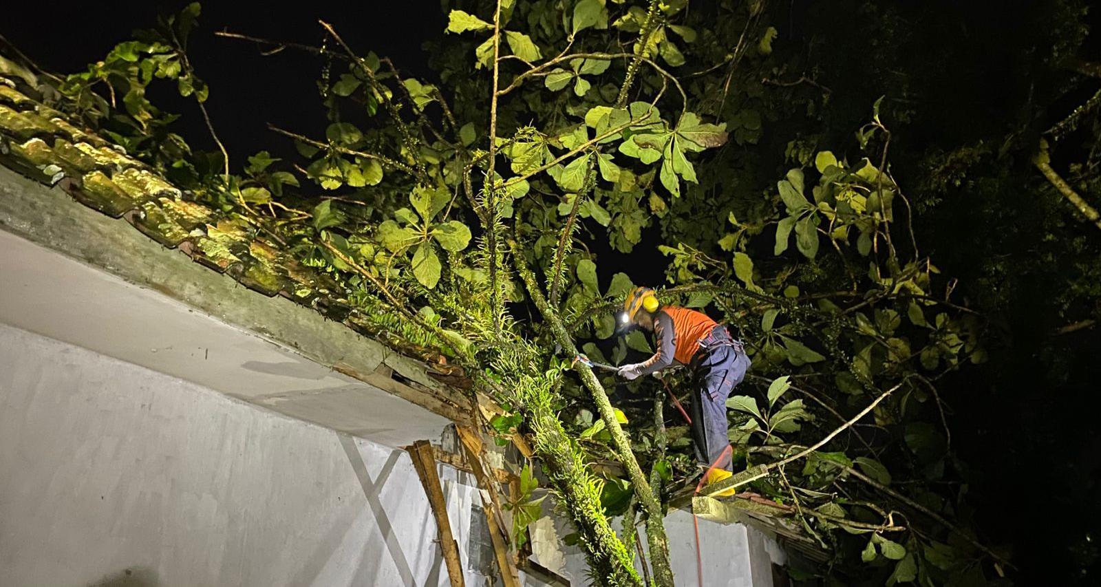 Cuaca Ekstrem di Kota Tasikmalaya, Rumah Warga Tuguraja Rusak Tertimpa Pohon Tumbang