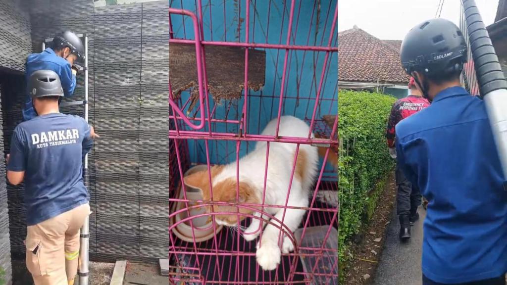 Kabur dan Sembunyi di Benteng Tetangga, Kucing Milik Syakila Berhasil Dievakuasi Damkar Kota Tasikmalaya