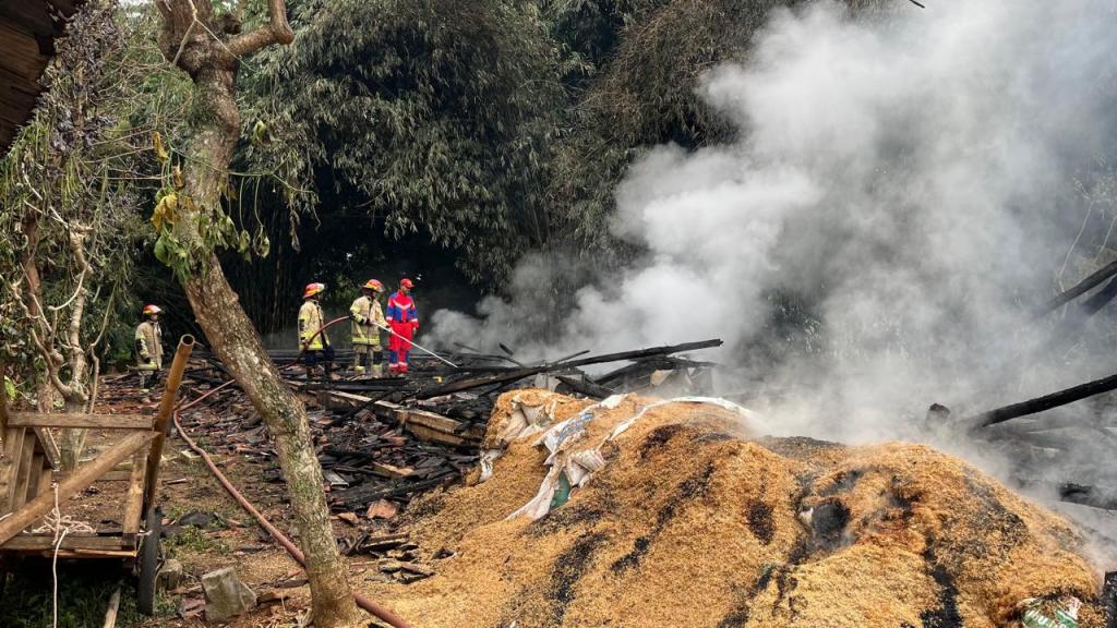Kandang Ludes Dilalap Api, Seribu Ekor Ayam Terbakar di Ciamis, Kerugian Capai Rp 250 Juta