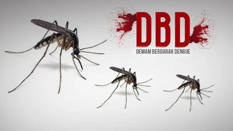 Kasus DBD dan Chikungunya di Ciamis Meningkat Saat Memasuki Ramadhan