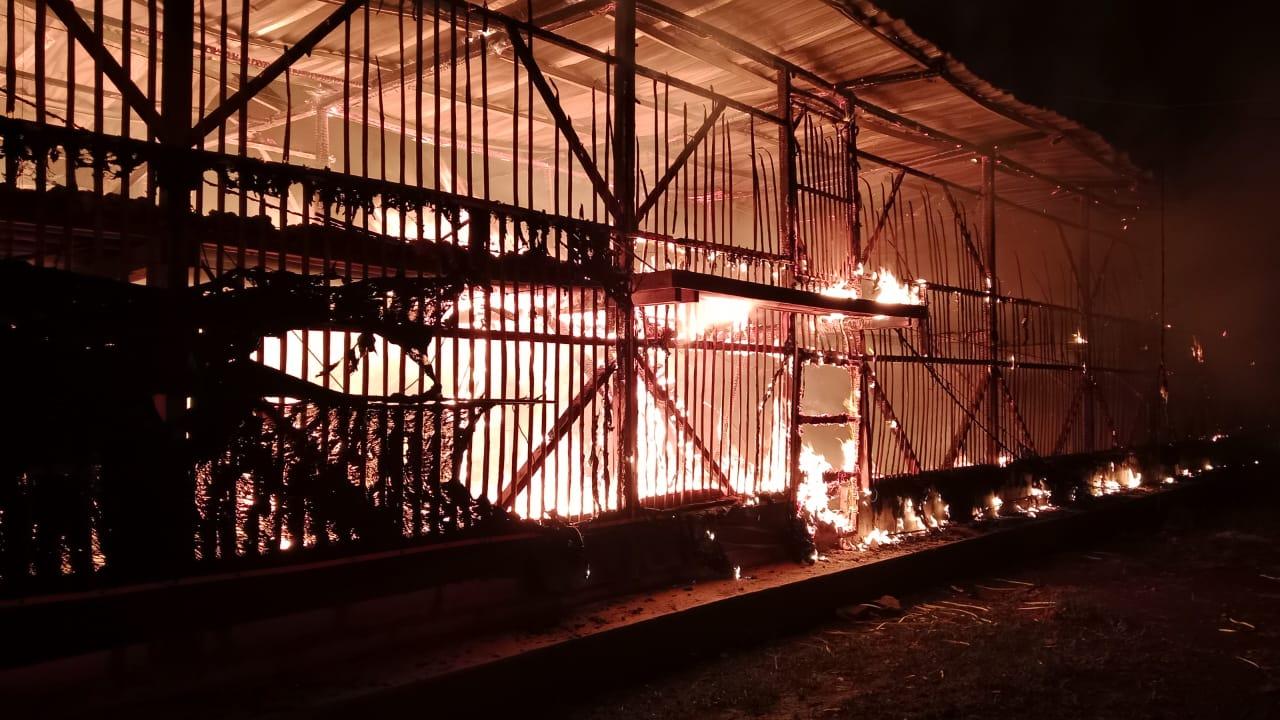 Kebakaran Hebat Hanguskan Kandang Ayam di Cikoneng Ciamis, 60 Ribu Ekor Tewas Terpanggang