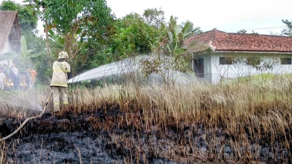 Kebakaran Lahan di Ciamis, Sawah Kalungguhan di Sarayuda Hangus Dilalap Api