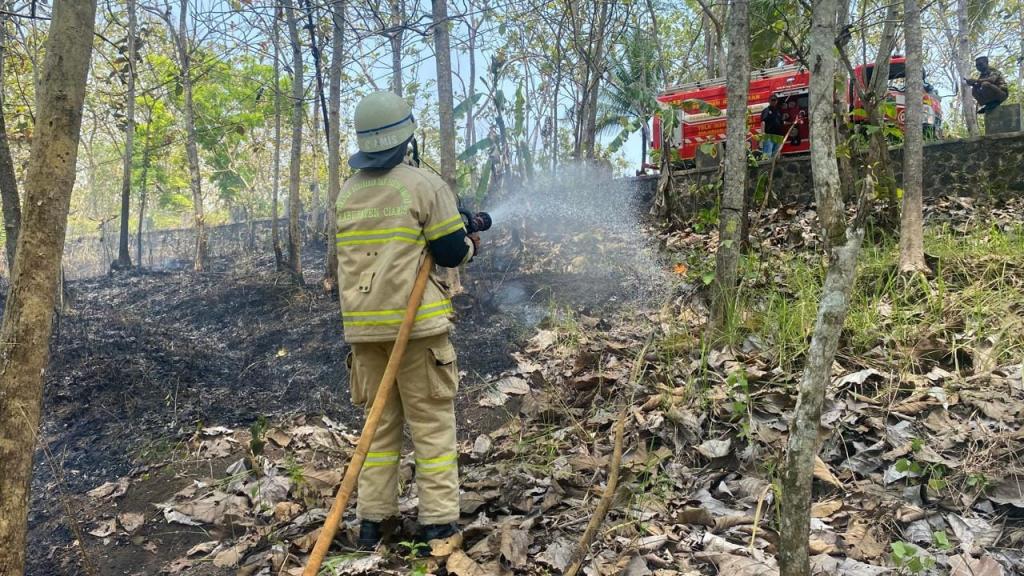 Kebakaran Lahan Terjadi di Ciamis, Satu Hektar Lahan Ampah Jati Terbakar