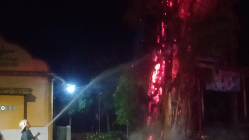 Kebakaran Pohon Beringin Tua di Ciamis Diduga Akibat Korsleting Listrik