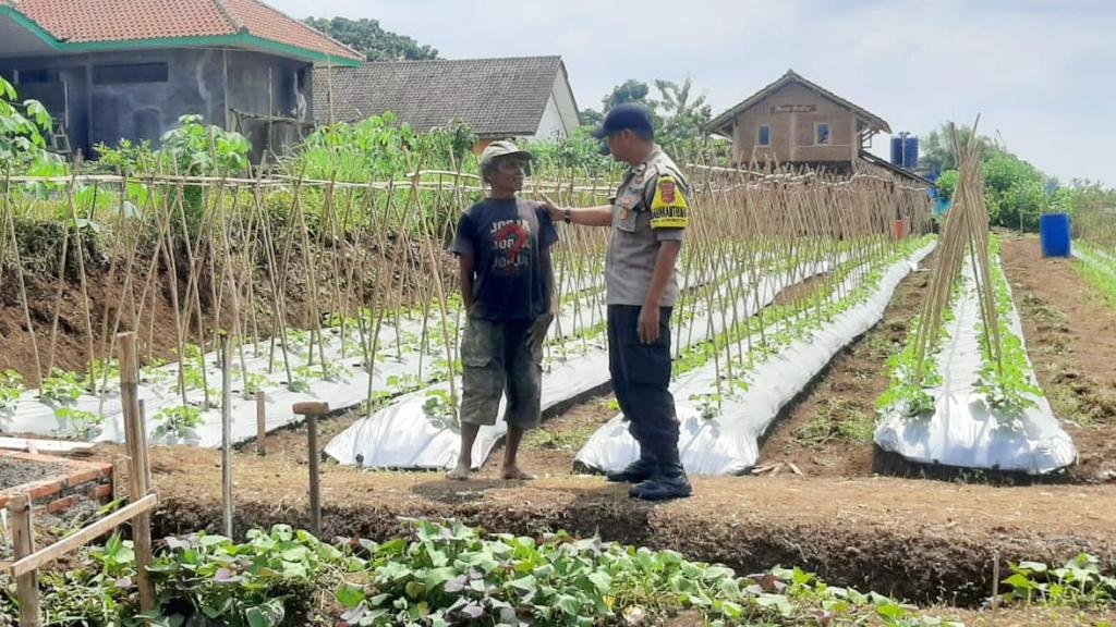 Kolaborasi Polsek Cikoneng dan Masyarakat Tingkatkan Ketahanan Pangan di Ciamis