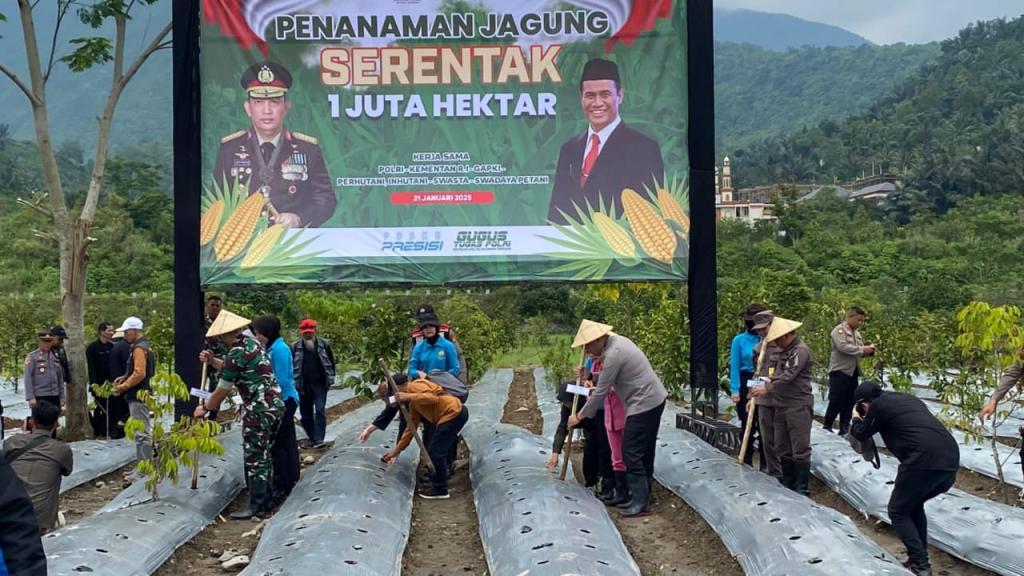 Pemkab dan Polres Tasikmalaya Tanam Jagung di Galunggung untuk Perkuat Ketahanan Pangan Nasional