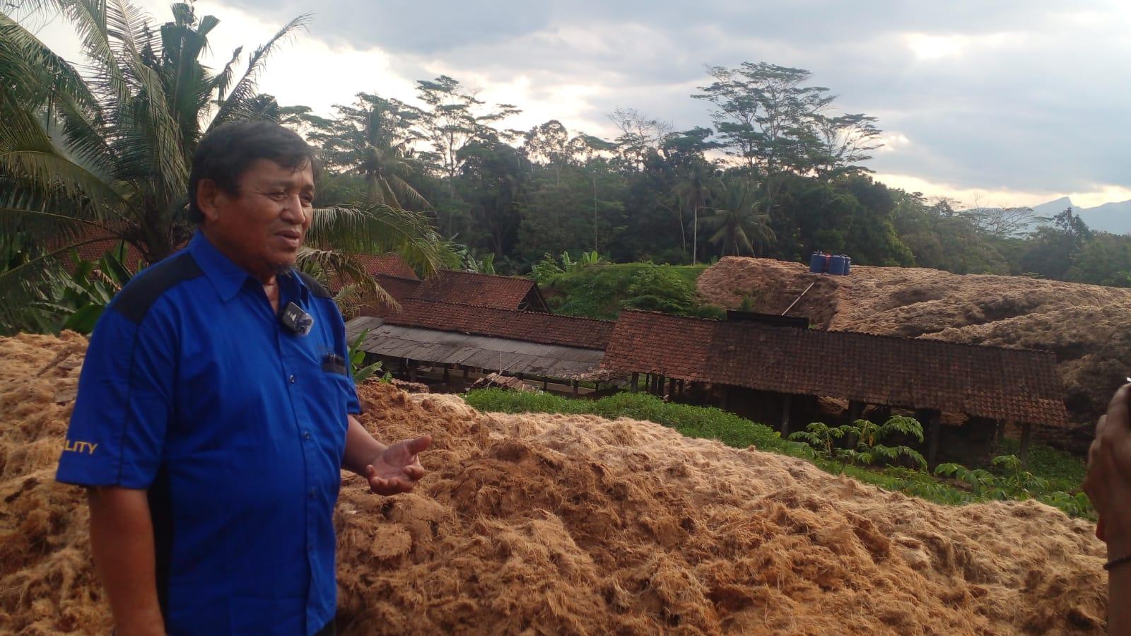 Petani Ciamis Olah Limbah Aci Kawung Jadi Kompos, Dorong Pertanian Organik dan Atasi Pencemaran