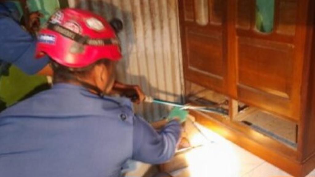 Damkar Banjarsari Ciamis Evakuasi Ular Kobra Sepanjang 2,5 Meter dari Lemari Pakaian