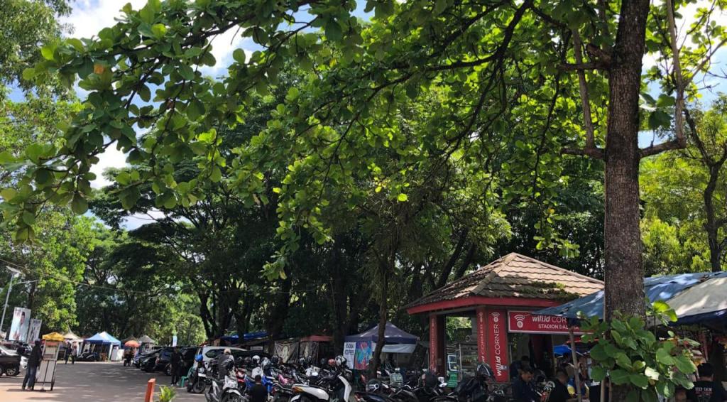 Pj Wali Kota Tasikmalaya Instruksikan DLH Periksa Kondisi Pohon di Sejumlah Titik