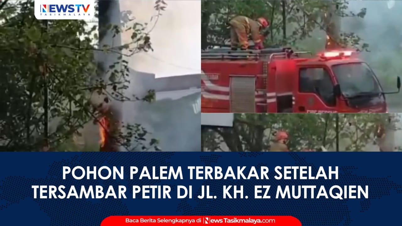 VIDEO: Pohon di Jalan KH. EZ Muttaqien Tasikmalaya Terbakar, Diduga Tersambar Petir