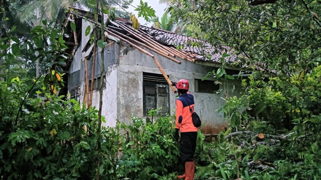 Pohon Petai Tumbang Hantam Rumah Warga di Ciamis