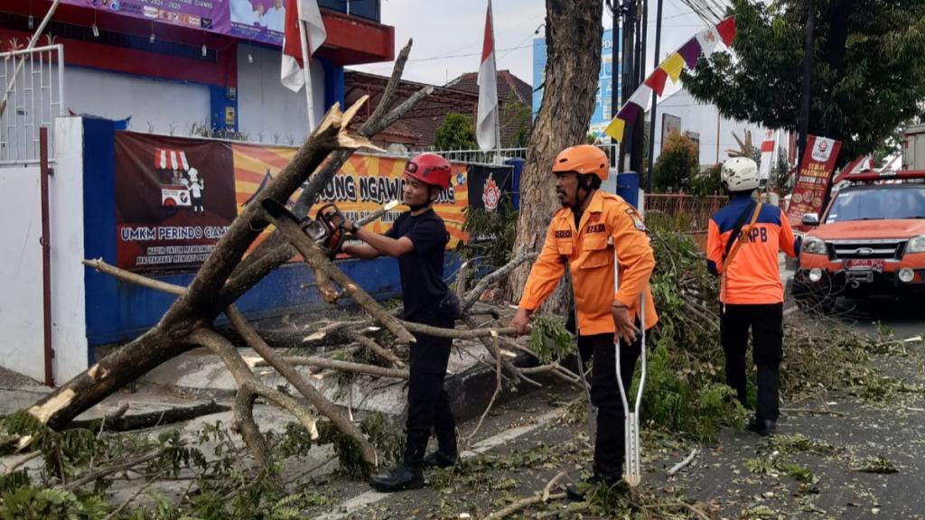 Pohon Trembesi di Depan Kantor DPC Perindo Ciamis Tumbang Disambar Truk Wing Box
