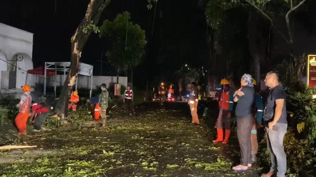 Tersenggol Truk Kontainer, Pohon Tumbang di Indihiang: Wakil Wali Kota Tasikmalaya Turun Tangan