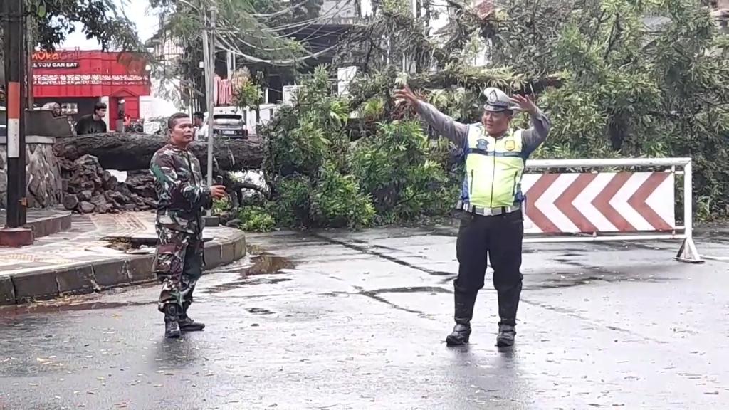 Pohon Tumbang di Area Tamkot Tasikmalaya Akibat Hujan Deras dan Angin Kencang
