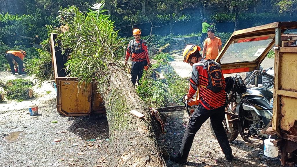 Pohon Tumbang di Dadaha Tasikmalaya Timpa Motor Sampah