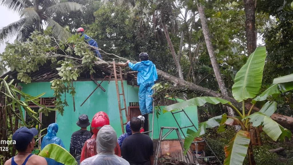 Pohon Tumbang Hantam Rumah Warga di Banjarsari Ciamis, Kerugian Diperkirakan Rp 20 Juta