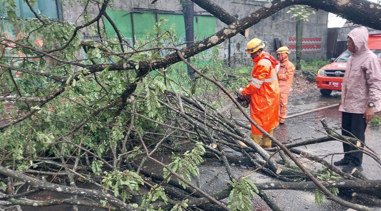 Pohon Tumbang hingga Rumah Roboh, Kota Tasikmalaya Kembali Dilanda Cuaca Ekstrem