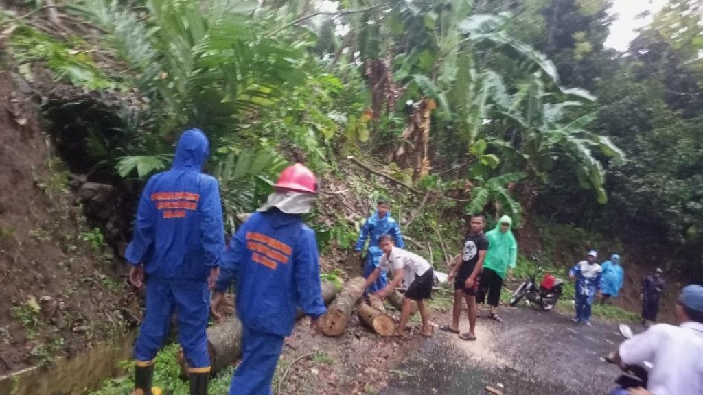 Pohon Tumbang Putuskan Akses Jalan Rancah-Dadiharja di Ciamis