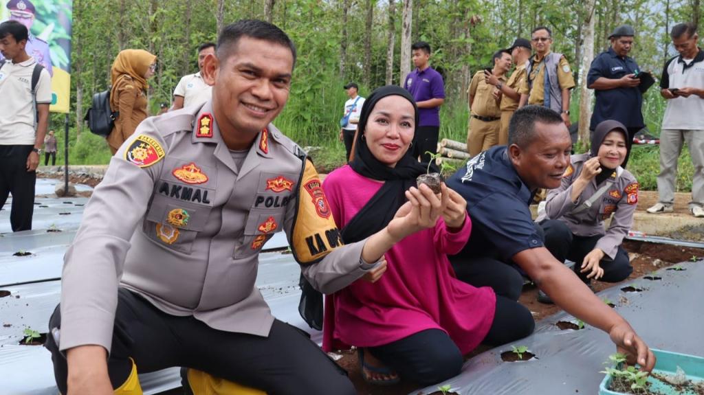 Polres Ciamis Dukung Ketahanan Pangan, Tanam Cabai Bersama Masyarakat