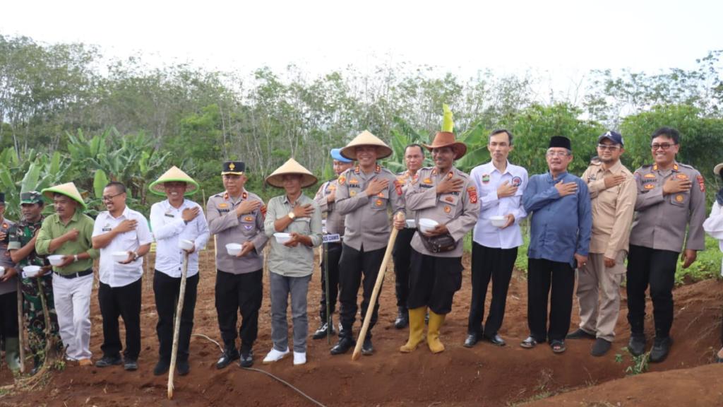 Polres Ciamis Tanam Jagung Serentak Bareng Petani, Dukung Ketahanan Pangan dan Indonesia Emas 2045