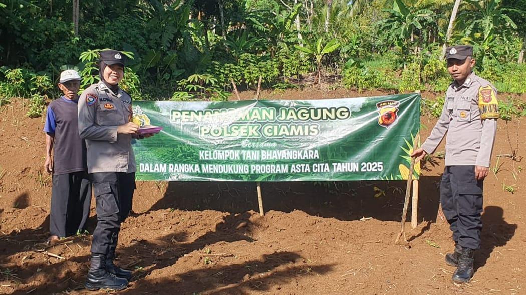 Polsek Ciamis dan Kelompok Tani Tanam Jagung untuk Ketahanan Pangan