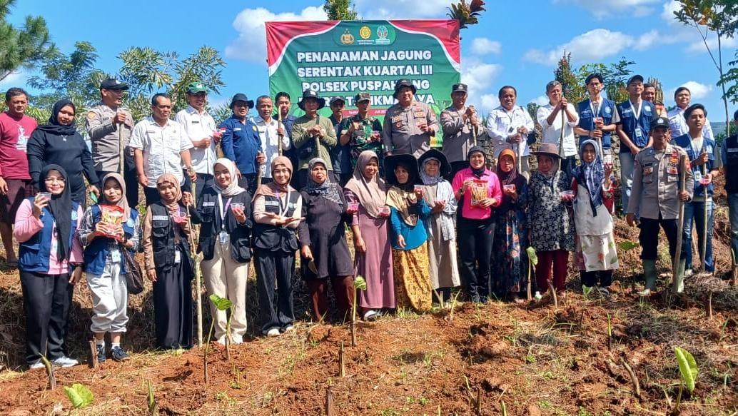 Polsek Puspahiang Tasikmalaya Tanam Jagung di Lahan Desa untuk Dukung Ketahanan Pangan Nasional