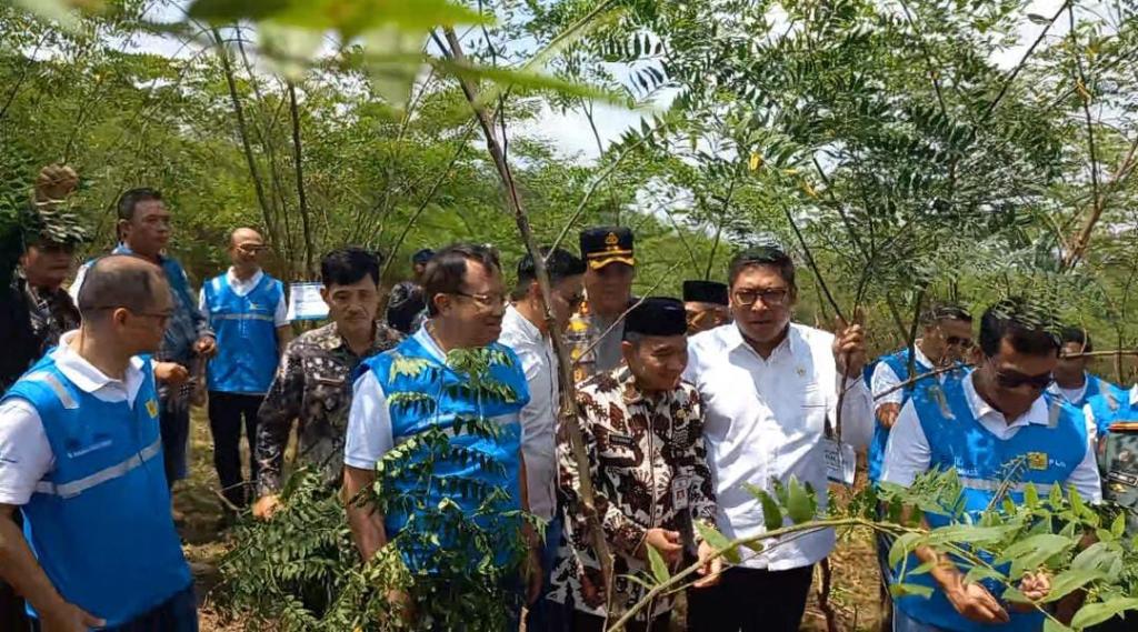Program Biomassa PLN Ubah Lahan Tandus di Bojongkapol Tasikmalaya Menjadi Produktif