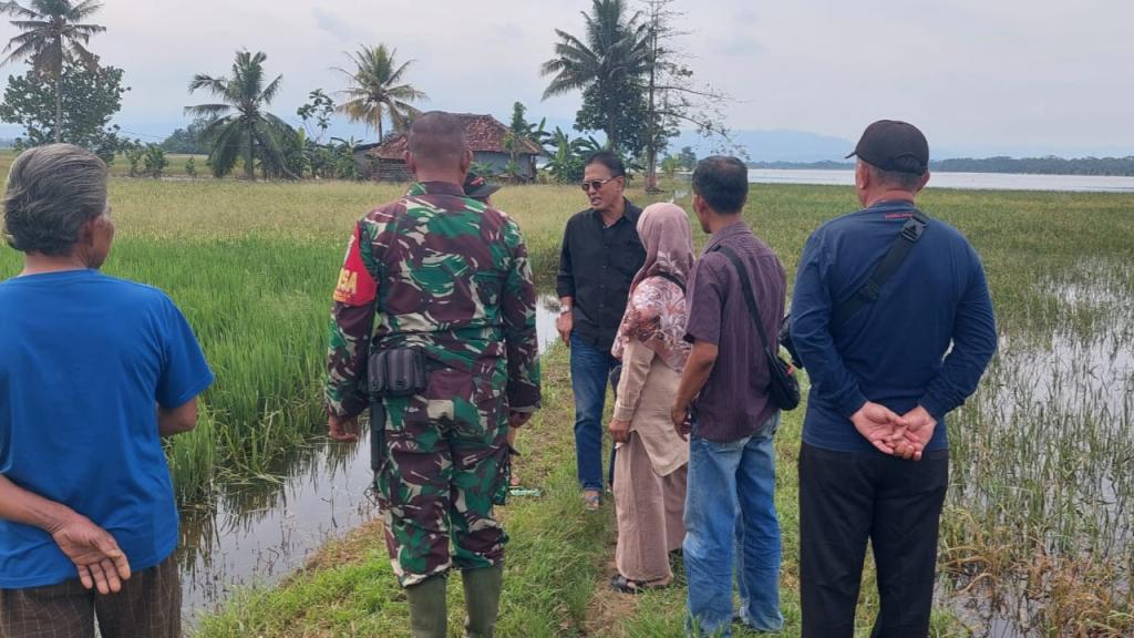 Ratusan Hektare Sawah dan Permukiman Terendam Banjir, Bupati Ciamis Instruksikan Prioritas Kesehatan